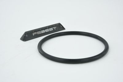 ETANșARE CARCASă CLAPETă FEBEST RINGAH010 21