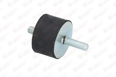 SUPORT MOTOR BIRTH 5275 8