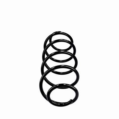 ARC SPIRAL EIBACH R10293 13