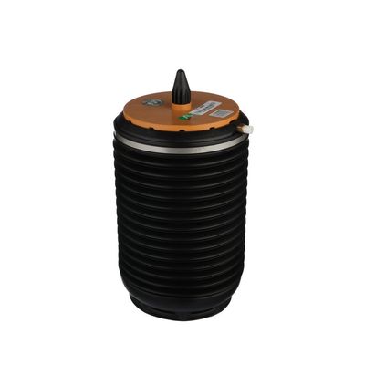 LUFTFEDER FAHRWERK Arnott A3892 48