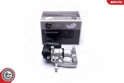 Brake Caliper 55SKV753