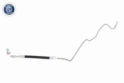 CONDUCTE FRANA VAICO V101906 1