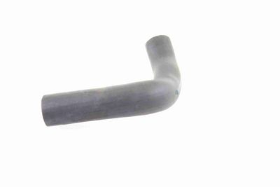 LADELUFTSCHLAUCH VAICO V480062 4