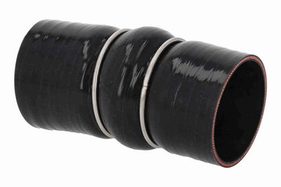 FURTUN EAR SUPRAALIMENTARE ACKOJA A380653 3