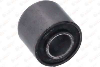 SUPORT BIELETA ANTIRULIU BIRTH 40640 12