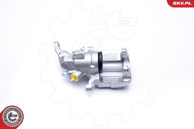 Brake Caliper 45SKV213