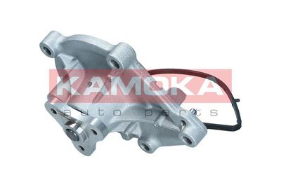 Water Pump, engine cooling T0050