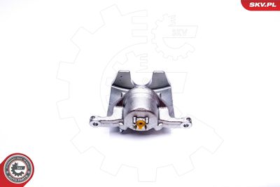 Brake Caliper 42SKV241