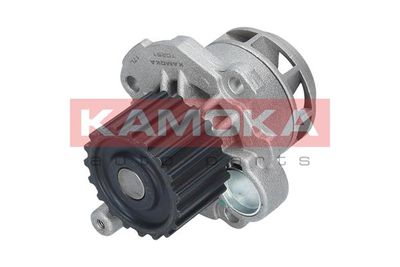 Water Pump, engine cooling T0251