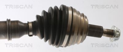 PLANETARA TRISCAN 8540295086 2