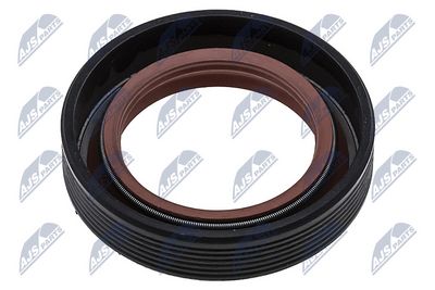SIMERING ARBORE COTIT NTY NUPWW010 1