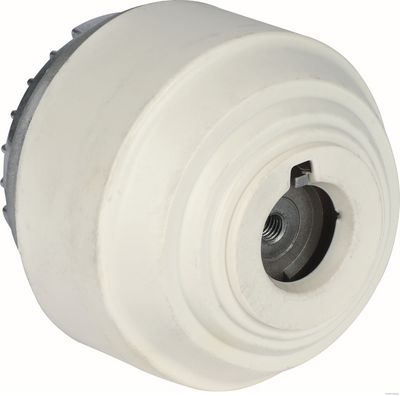 окачване, двигател HERTH+BUSS JAKOPARTS J1790819
