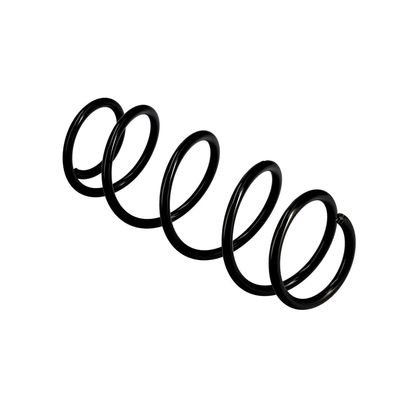 ARC SPIRAL EIBACH R10001 22