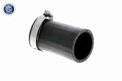 FURTUN EAR SUPRAALIMENTARE VAICO V103803 2