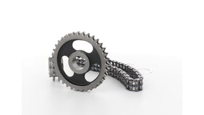 STEUERKETTENSATZ SKF VKML81008 17