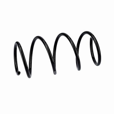 ARC SPIRAL EIBACH R10875 6