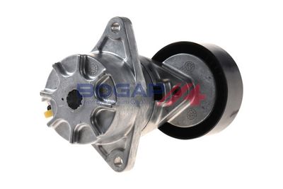 INTINZATOR CUREA CUREA DISTRIBUTIE BOGAP C1317100