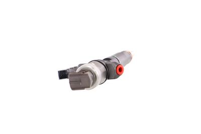 INJECTOR REMANTE 002003002049R 31