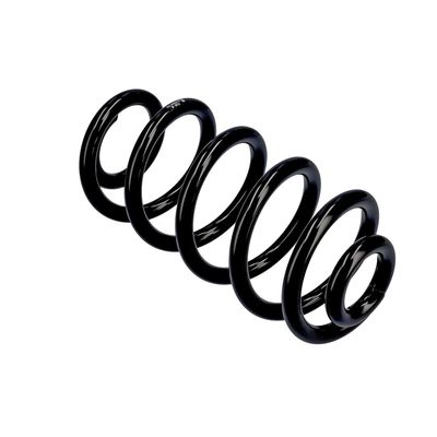 ARC SPIRAL EIBACH R10553 10