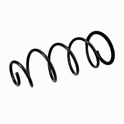 ARC SPIRAL EIBACH R10092 17