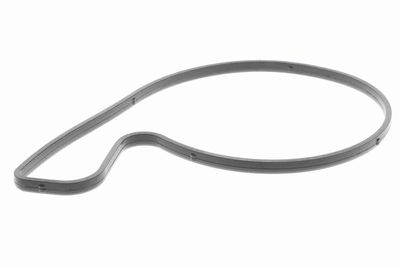 POMPă DE APă RăCIRE MOTOR VAICO V3050055 1