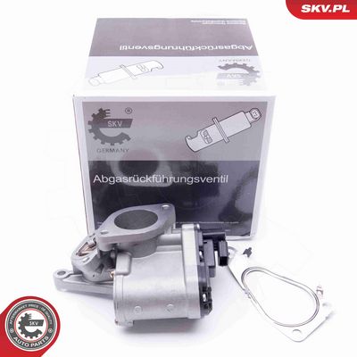 SUPAPA EGR ESEN SKV 14SKV165