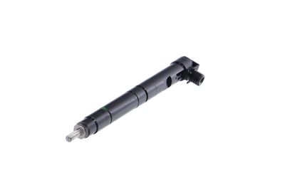 INJECTOR REMANTE 002003000134R 61