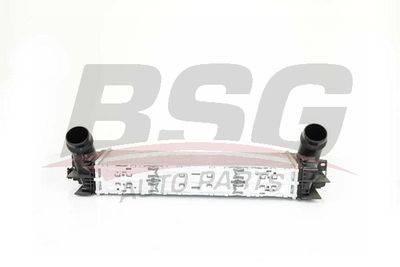 BSG BSG 15-535-002 Інтеркулер 