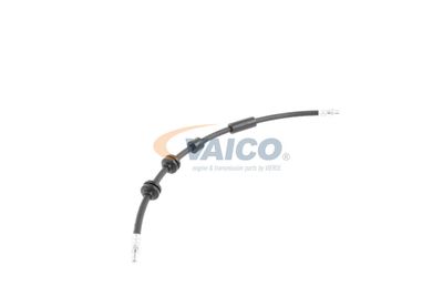 FURTUN FRANA VAICO V202640 44