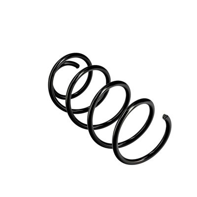 ARC SPIRAL EIBACH R10630 11