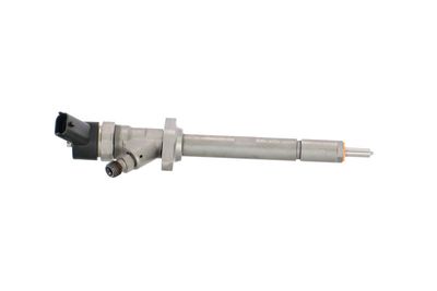 INJECTOR REMANTE 002003002117R 43
