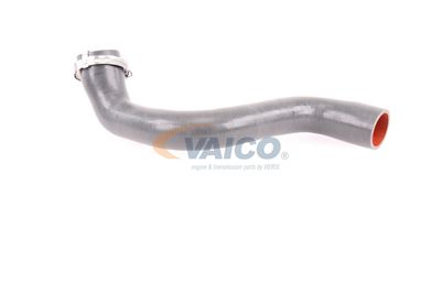 FURTUN EAR SUPRAALIMENTARE VAICO V460823 37