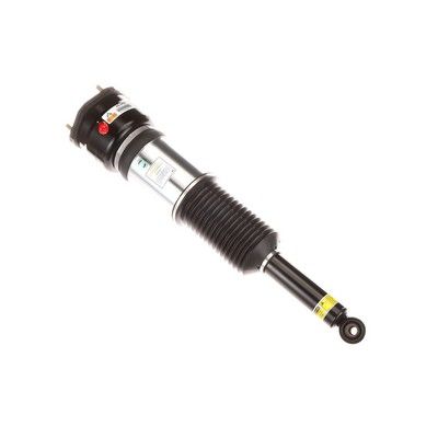 LUFTFEDERBEIN Arnott AS2856 55