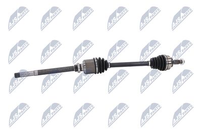 PLANETARA NTY NPWCT009 5