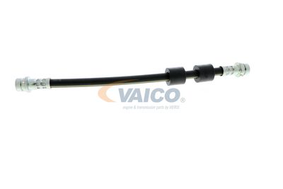 FURTUN FRANA VAICO V251328 33