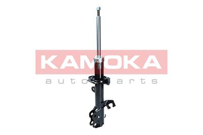 Shock Absorber 2000117