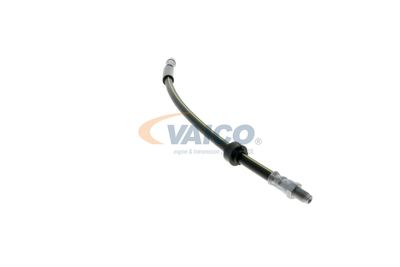 FURTUN FRANA VAICO V461009 44