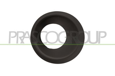 Рамка, основная фара PRASCO LR8021249