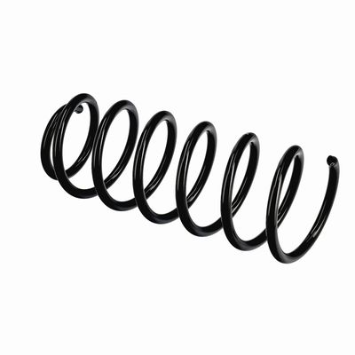 ARC SPIRAL EIBACH R10971 21