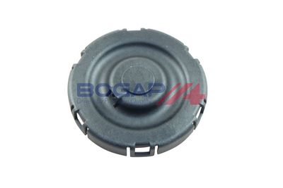 VENTIL AERISIRE CARTER BOGAP B1116107 3