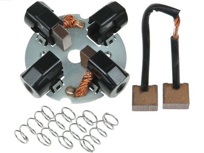 AS-PL Halter, Kohlebürsten