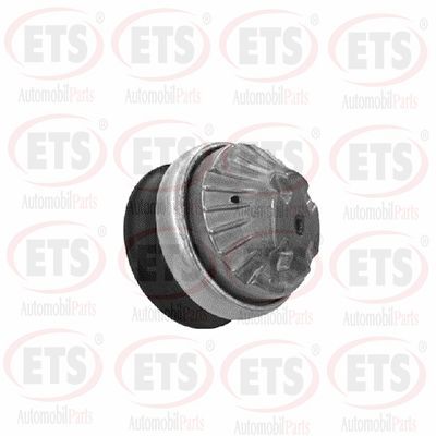 окачване, двигател ETS 15.EM.113