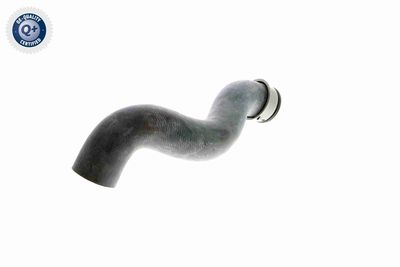 KüHLERSCHLAUCH VAICO V301656 4