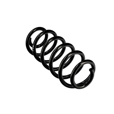 ARC SPIRAL EIBACH R10711 11