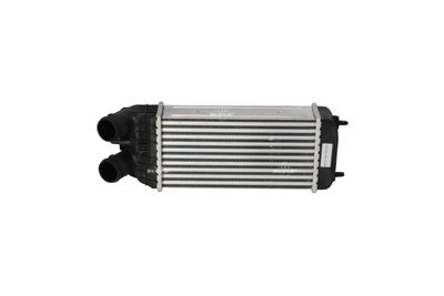 Charge Air Cooler 30460