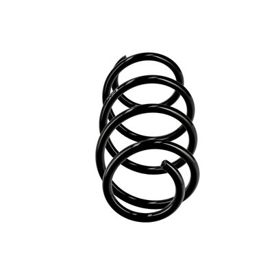 ARC SPIRAL EIBACH R10710 1