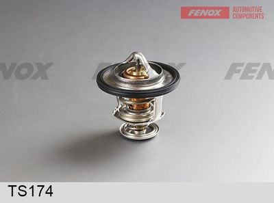 термостат, охладителна течност FENOX TS174