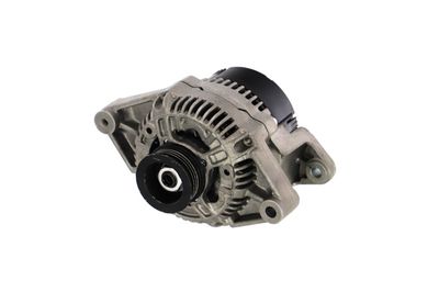 GENERATOR / ALTERNATOR REMANTE 011003000220R 65