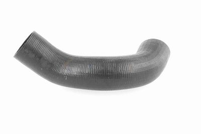 FURTUN EAR SUPRAALIMENTARE ACKOJA A380298 5