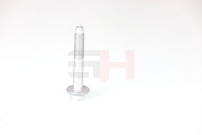 SURUB CAPAT DE AX GH GH392528 43